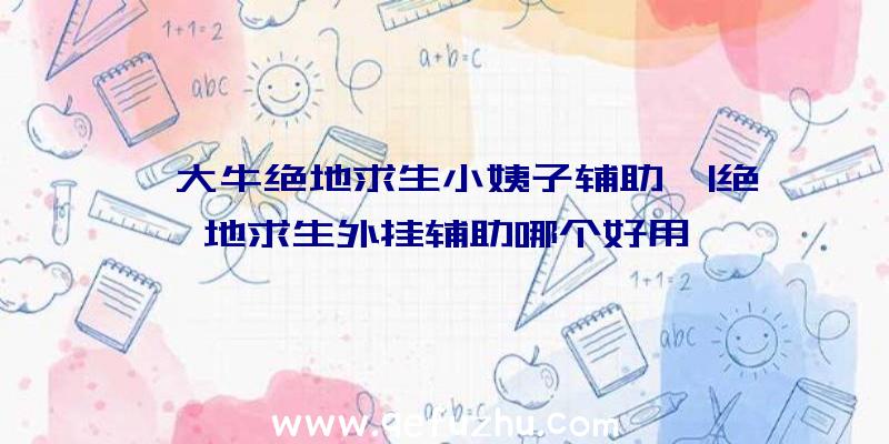 「大牛绝地求生小姨子辅助」|绝地求生外挂辅助哪个好用